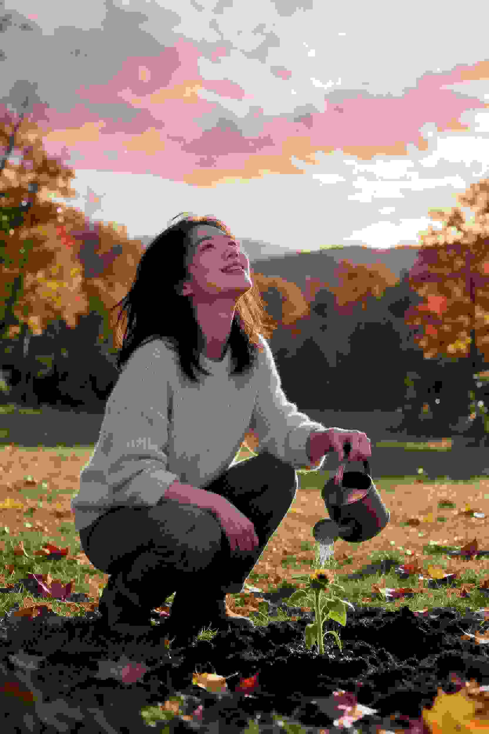 女总裁的故事