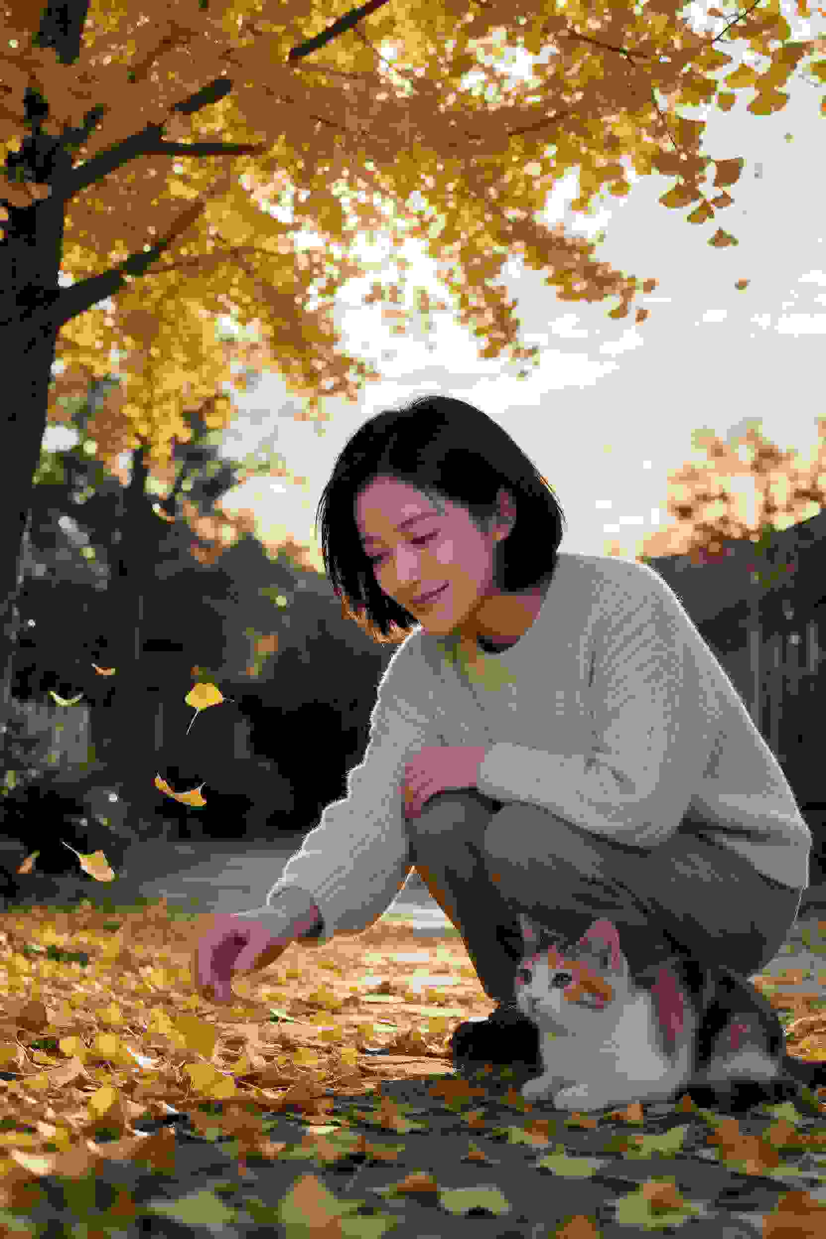 复仇计划