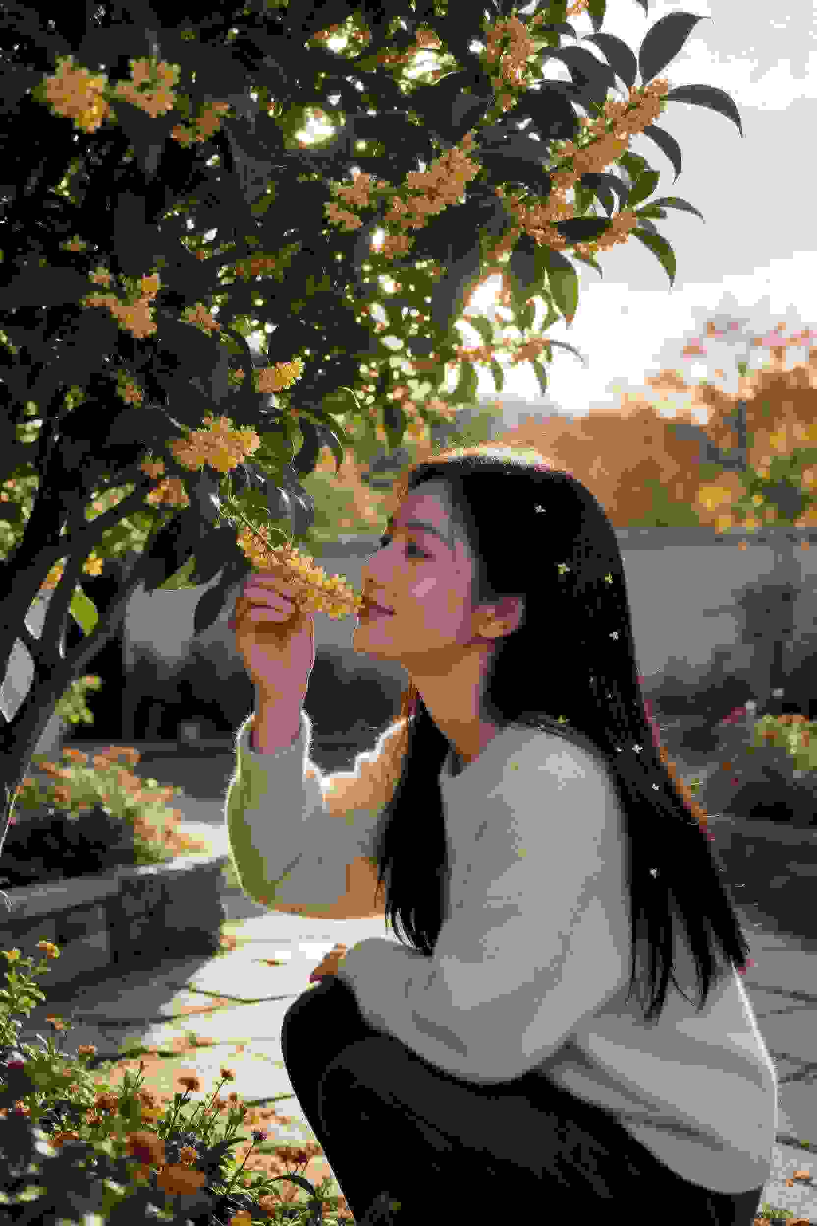 鬼王的宠妃